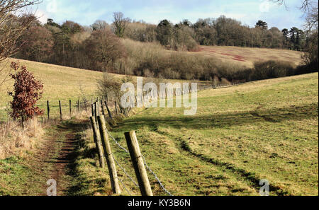 Un sentiero tra i campi recintati in The Chiltern Hills in Inghilterra Foto Stock