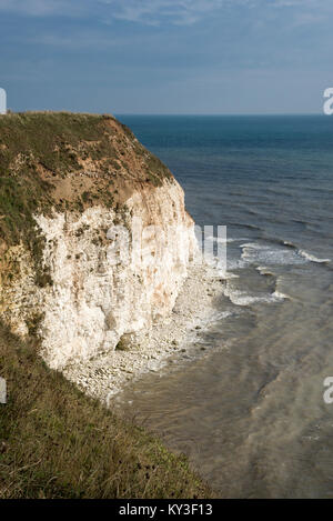 Alte scogliere di gesso a Flamborough Head, North Yorkshire, Inghilterra. Foto Stock