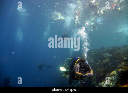 Immersioni e Snorkeling dell'isola Menjangan nel lato ovest di Bali. Foto Stock