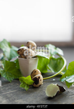 Intero e schiuse spotted uova di quaglia in una decorativa mini benna con verde edera germogli su sfondo indietro Foto Stock