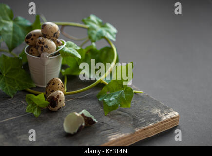 Intero e schiuse spotted uova di quaglia in una decorativa mini benna con verde edera germogli su sfondo indietro Foto Stock