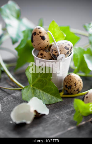 Intero e schiuse spotted uova di quaglia in una decorativa mini benna con verde edera germogli su sfondo indietro Foto Stock