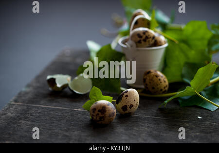 Intero e schiuse spotted uova di quaglia in una decorativa mini benna con verde edera germogli su sfondo indietro Foto Stock