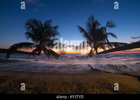 Palme durante il tramonto su una bella spiaggia tropicale di Koh Kood island in Thailandia Foto Stock