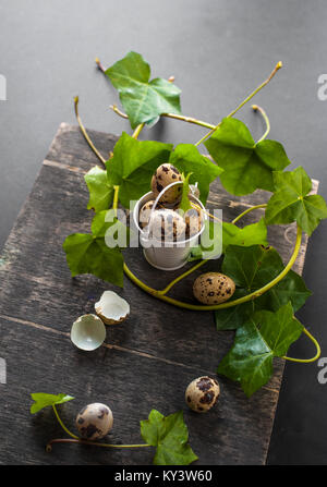 Intero e schiuse spotted uova di quaglia in una decorativa mini benna con verde edera germogli su sfondo indietro Foto Stock