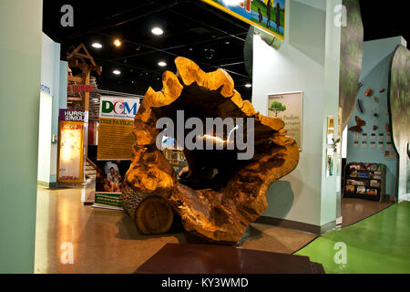 Delaware il Museo dei Bambini, Wilmington, Delaware, Stati Uniti, Foto Stock