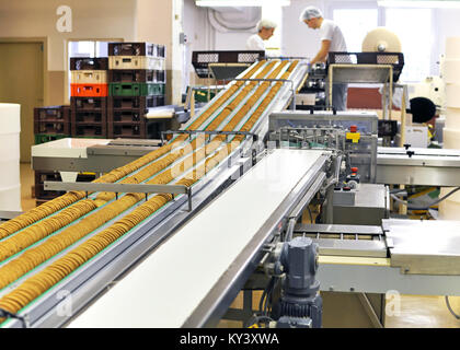 Nastro trasportatore con biscotti in una fabbrica di alimenti - Apparecchiature per macchinari Foto Stock