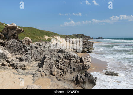 Il nelle parti rocciose, in parti sandy riva occidentale del pinguino Isola, Rockingham, Australia occidentale Foto Stock