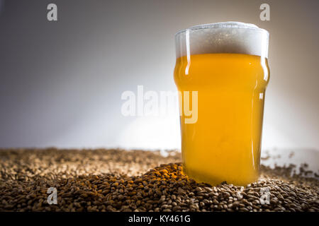 Homebrew bionda pinta di birra e malto Pislner granella sul sfondo luminoso in Studio Foto Stock