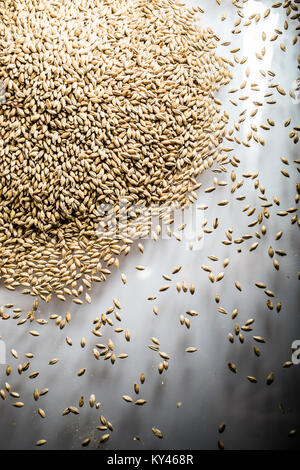 Pilsner Birra di malto di heap di grano su un bianco riflettente tabella in Studio Foto Stock