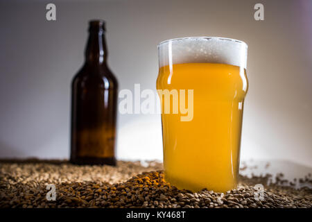 Homebrew pinta di birra bionda e la bottiglia vuota di birra sul malto Pislner granella sul sfondo luminoso in Studio Foto Stock