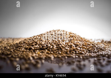 Pilsner Birra di malto di heap di grano su un bianco riflettente tabella in Studio Foto Stock