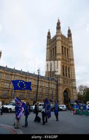 Londra, Regno Unito. Piccolo anti-Brexit protestare fuori le case del Parlamento su una gelida pomeriggio. Foto Stock