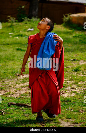 Un tibetano Gyuto giovane monaco buddista giocare al monastero Dharamsala India Foto Stock