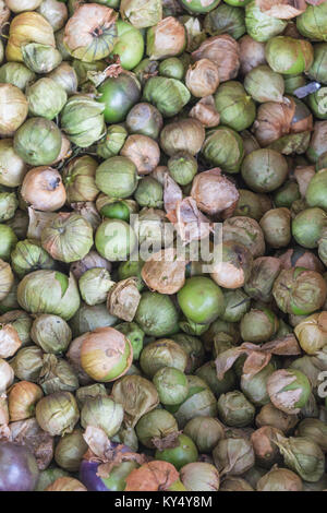 Isolato, close-up shot di tomatillos, e tomatillo pelli, in Messico Foto Stock