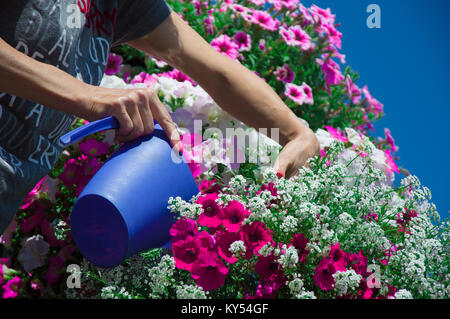 Il vecchio donna fiori di irrigazione in vasi su un balcone in giardino. La floricoltura è un hobby. Caucasici, anziani, matura mamma, nonna, coltivazione senior Foto Stock