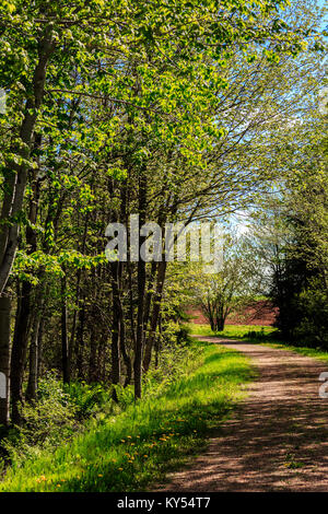 Primavera sulla Confederazione Trail nelle zone rurali di Prince Edward Island, Canada. Foto Stock