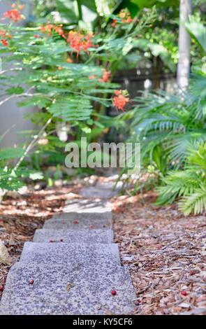 Percorso di pietre miliari che conduce verso il basso in un giardino attraverso il sottobosco, Sunshine Coast, Queensland, Australia Foto Stock