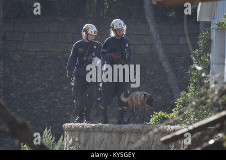 Montecito, California, Stati Uniti d'America. Xii gen, 2018. Una ricerca e salvataggio K9 e il suo gestore condurre operazioni nella zona di Hot Springs e frantoio strade venerdì pomeriggio. Colate di fango causato pesanti danni inizio martedì. Credito: Erick Madrid/ZUMA filo/Alamy Live News Foto Stock