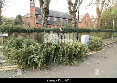 Londra, Regno Unito. Xiii gen, 2018. Vecchi alberi di Natale che sono stati scartati per le strade di Wimbledon rimangono non riscosse dalle autorità locali settimane dopo la fine delle vacanze di Natale Credit: amer ghazzal/Alamy Live News Foto Stock