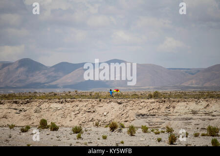 Uyuni, Bolivia. Xiii gen, 2018. Un ragazzo corre con la bandiera nazionale della Bolivia vicino la linea racing durante il 2018 Dakar Rally gara Stage 7 in Uyuni, Bolivia, a gennaio 13, 2018. Credito: Li Ming/Xinhua/Alamy Live News Foto Stock