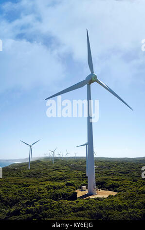 Le turbine eoliche Albany Western Australia - Foto Stock