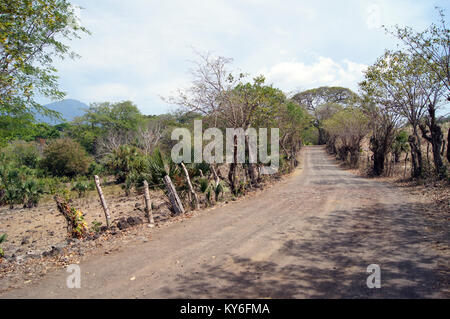 Strada di campagna sull'isola di Ometepe, lago di Nicaragua Foto Stock