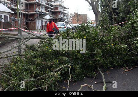 Pic mostra: albero giù in East Finchley North London Questo postino non potrebbe ottenere il suo furgone attraverso e ha dovuto consegnare le sue lettere a piedi. Pic da Gavi Foto Stock