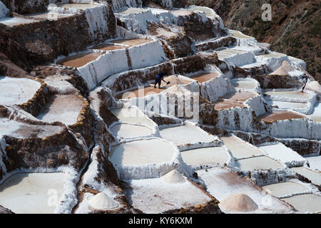 Il sale di Maras stagni situato in Perù la Valle Sacra Foto Stock