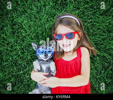 Un grazioso piccolo bimbo ragazza con occhiali da sole rosso sulla detenzione di un minuscolo chihuahua con gli occhiali blu sulla posa in erba in un parco o in un cortile interno con una bella Foto Stock