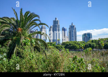 Buenos Aires cityscape, vista da Costanera Sur riserva ecologica Foto Stock