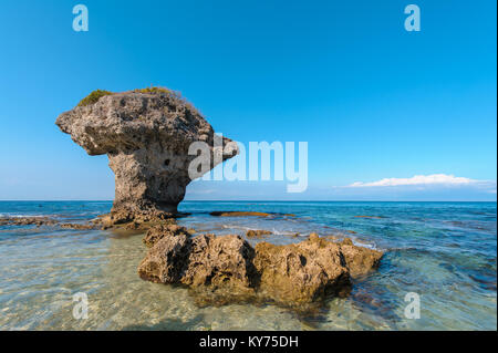 Vaso di fiori di roccia corallina Lamay all isola di Taiwan Foto Stock