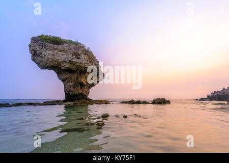 Vaso di fiori di roccia corallina Lamay all isola di Taiwan Foto Stock