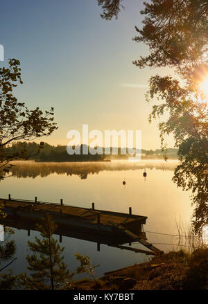 Vista sul lago misty all'alba, Ljustero, contea di Stoccolma, Svezia e Scandinavia Foto Stock