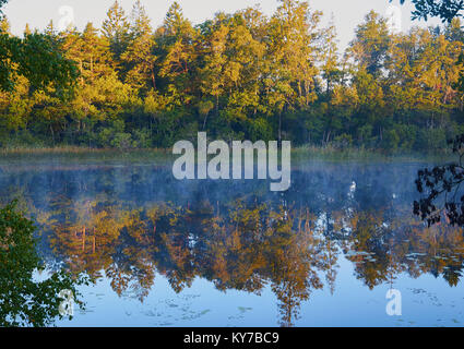 Gli alberi si riflette nel lago su nebbiosa mattina d'estate, Ljustero, contea di Stoccolma, Svezia, in Scandinavia. Foto Stock