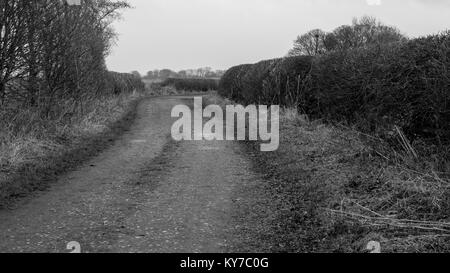 Burradon Farm Cottages sentiero pubblico Foto Stock