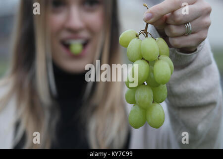 In Spagna è una tradizione di mangiare dodici uve per Capodanno. Una giovane donna mangia l'uva per la Vigilia di Capodanno in Spagna. Foto Stock