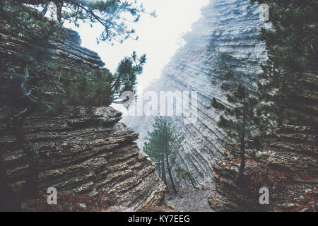 Rocce di foggy paesaggio forestale vista panoramica di viaggio paesaggio sereno giorno di pioggia Foto Stock