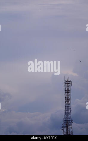 Torre di telecomunicazioni contro la sera Cielo nuvoloso con molti uccelli in volo Foto Stock