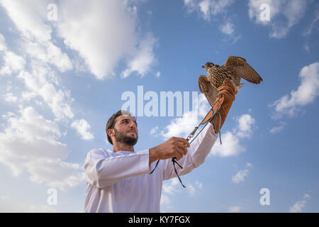 Abu Dhabi, Emirati Arabi Uniti - Dic 15, 2017: l uomo in un tradizionale abito emirati orgogliosamente in posa con il suo spettacolo addestrati Falcon. Foto Stock