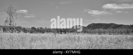 I terreni agricoli e bush vicino Clairview, Queensland, Australia Foto Stock