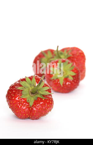 Pochi rosso Fragole freschezza giacente su sfondo bianco Foto Stock