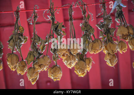 Rose secche Foto Stock