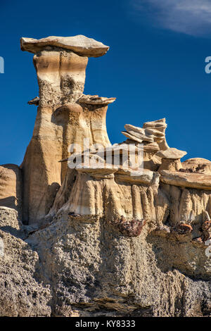 Brown area Hoodoos formazioni, Bisti De-Na-Zin Wilderness, Nuovo Messico, STATI UNITI D'AMERICA Foto Stock