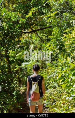 Capelli neri giovane donna a piedi lungo un percorso attraverso una fitta giungla verde con canvas back pack sulla giornata di sole. Foto Stock