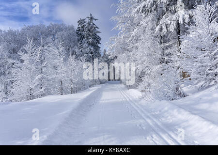 Battute di pista di sci nella soleggiata giornata invernale sui monti road. Alberi coperti di brina e neve fresca illuminata dal sole, nuvole sul cielo blu. Foto Stock