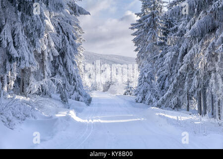 Battute di pista di sci nella soleggiata giornata invernale sui monti road. Alberi coperti di brina e neve fresca illuminata dal sole, nuvole sul cielo blu. Foto Stock