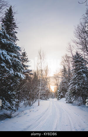 Tracce di motoslitte nel bosco selvatico di Cold Winter Sunset in Quebec, Canada Foto Stock