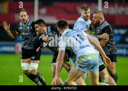 SWANSEA, GALLES - 13 gennaio: Rhys Webb di falchi pescatori si sposta la palla in avanti durante il durante il rugby europeo Champions Cup match tra Falchi Pescatori e saraceni al Liberty Stadium on gennaio 13 2018 a Swansea, Galles Foto Stock