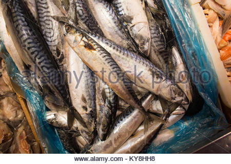 Il pesce in vendita su un mercato del pesce di Riga, Lettonia Foto Stock